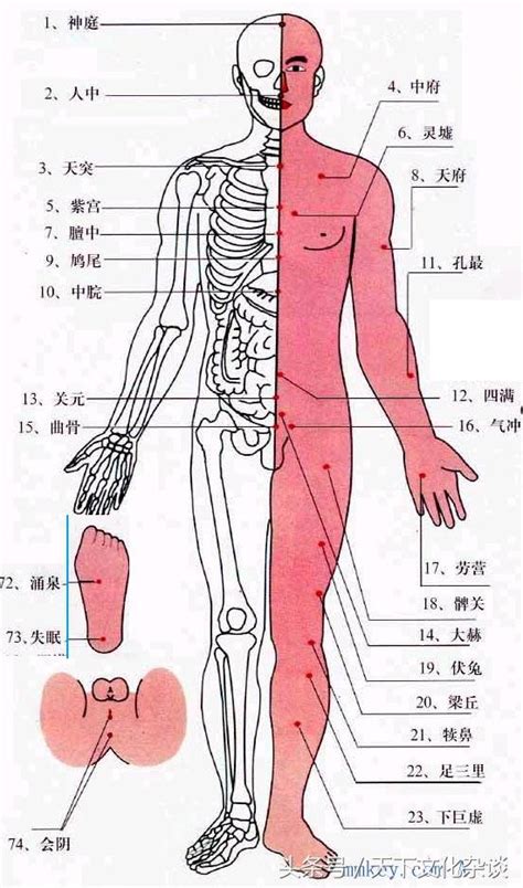 背後穴位圖|人體穴位圖